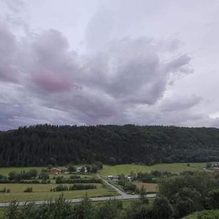 Skogan Apartment Leirfjord Bagian luar foto