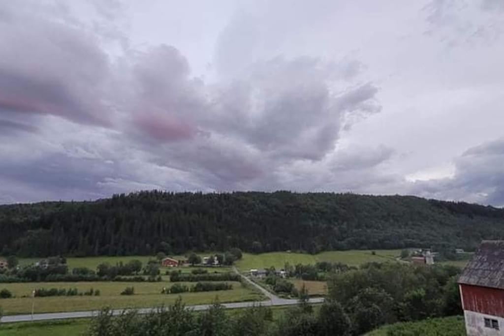 Skogan Apartment Leirfjord Bagian luar foto