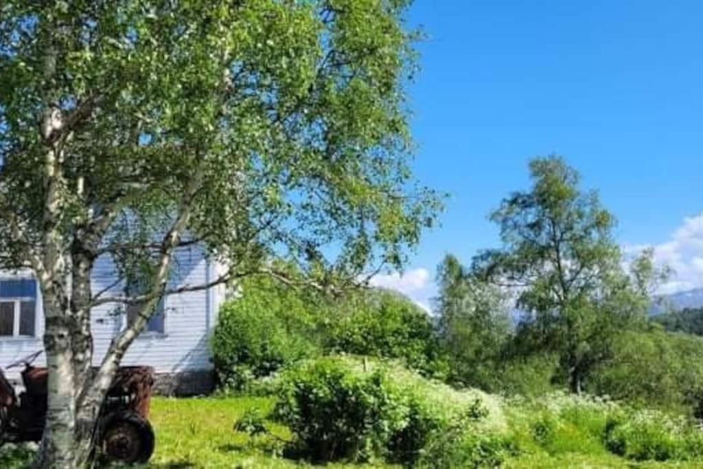 Skogan Apartment Leirfjord Bagian luar foto