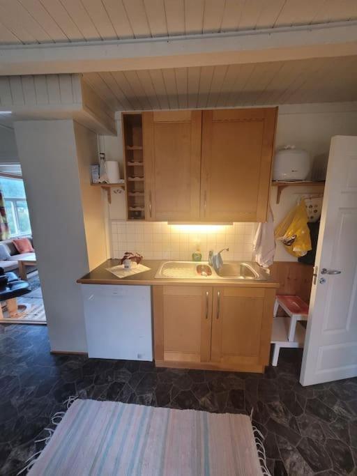 Skogan Apartment Leirfjord Bagian luar foto