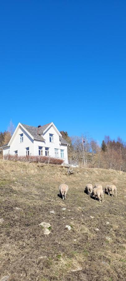 Skogan Apartment Leirfjord Bagian luar foto